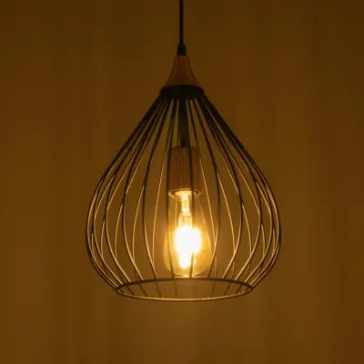 LEDTM® RADIARO 201-0015 Vintage Κρεμαστό Φωτιστικό Πλέγμα Μονόφωτο 1 x E27 IP20 Μαύρο Μέταλλο - Μ26 x Π26 x Υ35cm - Image 3