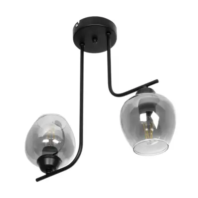 LEDTM® GLOSSA 201-0091 Vintage Φωτιστικό Οροφής Μπάλα Δίφωτο 2 x E27 IP20 Μαύρο Μέταλλο με Μαύρο Φιμέ Γυαλί - Μ40 x Π15 x Υ17cm - Image 5