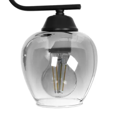 LEDTM® GLOSSA 201-0091 Vintage Φωτιστικό Οροφής Μπάλα Δίφωτο 2 x E27 IP20 Μαύρο Μέταλλο με Μαύρο Φιμέ Γυαλί - Μ40 x Π15 x Υ17cm - Image 7