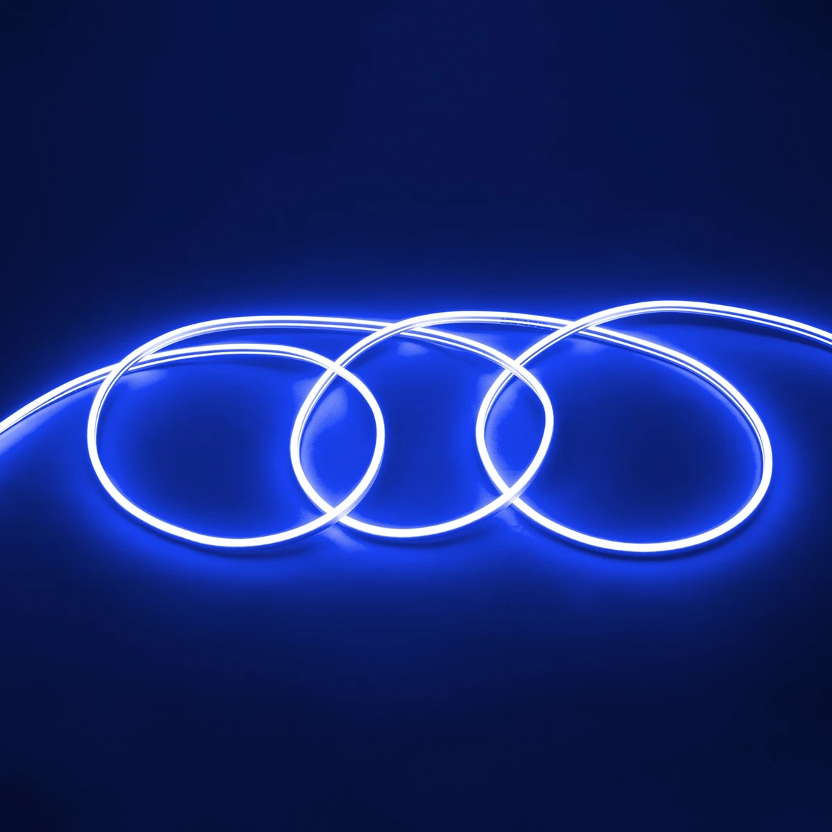 Alternative view of LEDTM® NEOVALE 70565 Ταινία Neon Flex LED 12W/m 600lm/m 120° DC 24V Αδιάβροχο IP65 120 x SMD2835 Chip/m Μπλε Dimmable - Sanan SMD Chip - Μ100 x Π0.8 x Υ1.6cm - 3 Χρόνια Εγγύηση