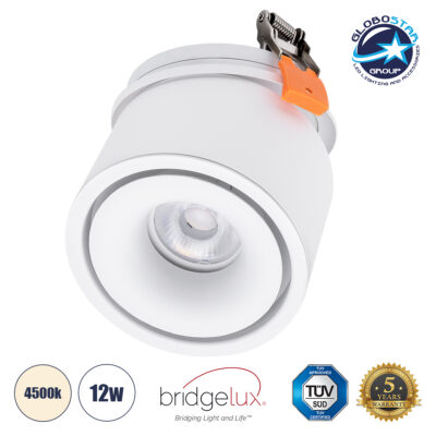 LEDTM® OMEGA-R 60294 Χωνευτό Κινούμενο Downlight Σποτ LED 12W 1560lm 36° AC 220-240V IP20 Φυσικό Λευκό 4500K - Bridgelux COB Chip & TÜV SÜD Driver - Λευκό Ματ - Μ10 x Π10 x Υ8.2cm / Q9cm - 5 Χρόνια Εγγύηση