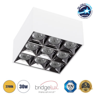 LEDTM® LUMINAR 60339 Downlight Σποτ LED 30W 4050lm 36° AC 220-240V IP20 Θερμό Λευκό 2700K - Osram SMD Chip & TÜV SÜD Driver - Λευκό Ματ - Μ12 x Π12 x Υ6.6cm - 5 Χρόνια Εγγύηση