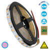 LEDTM® LUMAR 70227 Ταινία LED 14.4W/m 936lm/m 120° DC 24V IP20 60 x SMD5050 Chip/m Ροζ Dimmable - Sanan SMD Chip - Μ500 x Π1 x Υ0.2cm - Ρολό 5 Μέτρων - 5 Χρόνια Εγγύηση