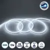 LEDTM® NEOVALE 70560 Ταινία Neon Flex LED 12W/m 1080lm/m 120° DC 24V Αδιάβροχο IP65 120 x SMD2835 Chip/m Ψυχρό Λευκό 6000K Dimmable - Sanan SMD Chip - Μ100 x Π0.8 x Υ1.6cm - 3 Χρόνια Εγγύηση