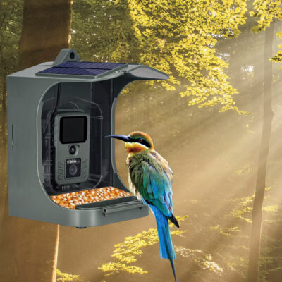 Alternative view of SUNTEK smart ηλιακή κάμερα κυνηγού BC-303W, PIR, WiFi, 24MP/1265p, SD, IP65