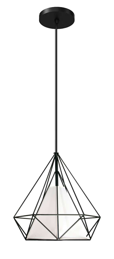 LEDTM φωτιστικό οροφής HLL-0005, E27, Φ27, μεταλλικό, λευκό-μαύρο