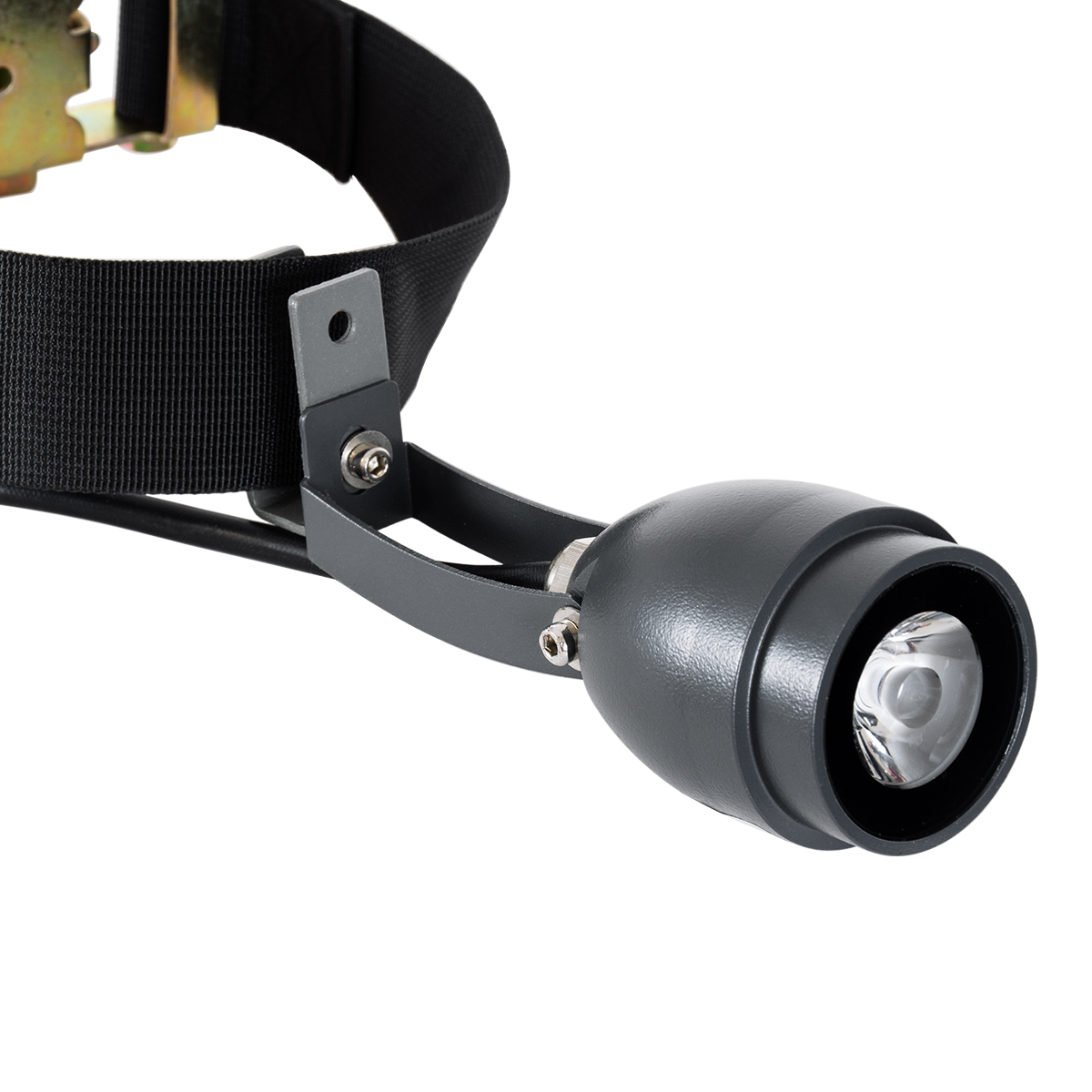 LEDTM® TREEBASE 90479 Ιμάντας με Καστάνια για Τοποθέτηση Φωτιστικών Σποτ σε κορμό Φυτών & Δέντρων - Μαύρο & Χρυσό - Μ150 x Π7.5 x Υ5cm - Image 11