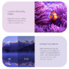HOMATICS TV Box R 4K Plus, 4/32GB, WiFi, Google πιστοποίηση, Android 11 - Image 2